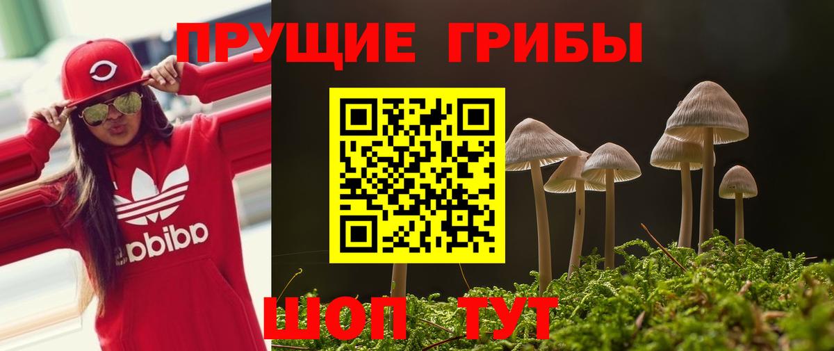 Среднеуральск  продажа наркотиков  Вход с VPN  Галлюциногенные грибы Cubensis 