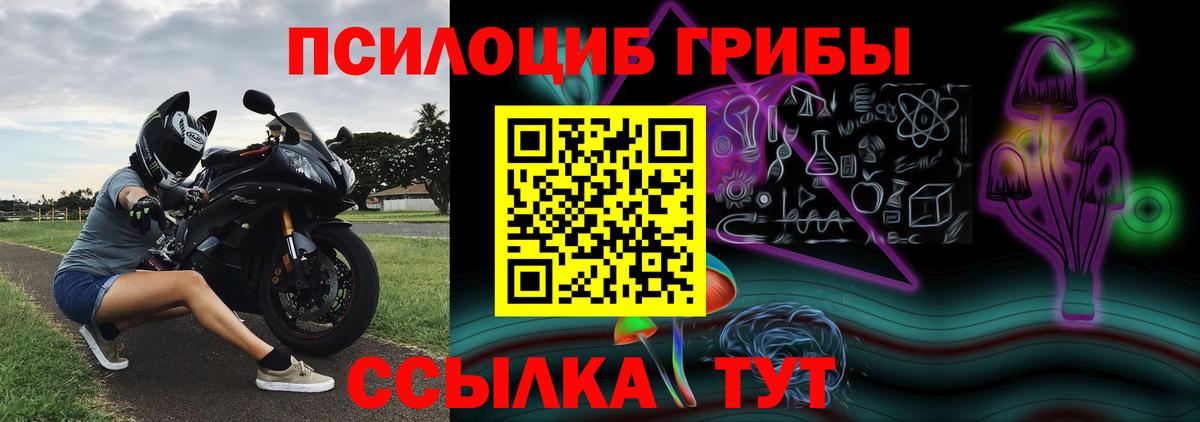 Псилоцибиновые грибы мицелий Среднеуральск